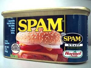 I llove Spam, but not on my Blog please!