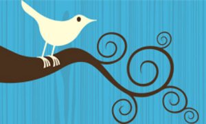 Twitter-bird-logo